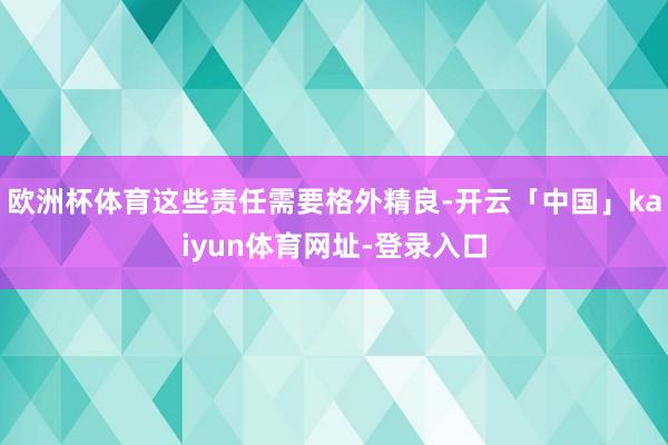 欧洲杯体育这些责任需要格外精良-开云「中国」kaiyun体育网址-登录入口